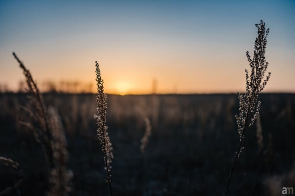 Athanase Chiruza:<br> African Diaspora Central Canada